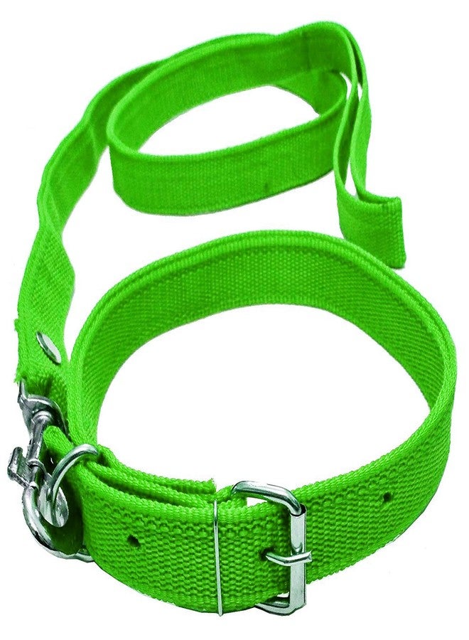 VRCT 1.25 Inch Dog Collar Belt, 1.5M-2M LENGTH Dog Collar & Leash (Medium, Multi Color)